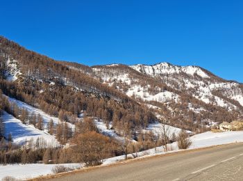 Trail Snowshoes Molines-en-Queyras - EMBRUN JOUR 3 : Molines-en-Queyras - Sommet Bucher (QUEYRAS) - Photo