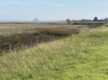 Randonnée Marche Le Vivier-sur-Mer - Circuit des grèves et marais - Photo