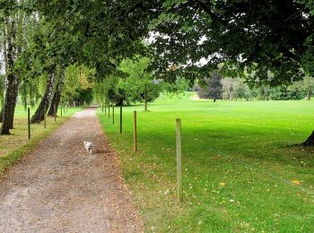 Randonnée Marche Lasne - Vallée du Smohain & Golf de Waterloo - Photo