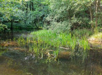 Trail On foot Warburg - A3 Rundwanderweg Hardehausen - Photo