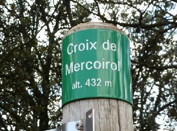 Tocht Te voet Rousson - La Croix de Mercouriol - Photo