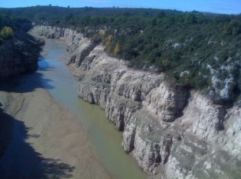 Excursión A pie Artignosc-sur-Verdon - Vaumougne - Photo