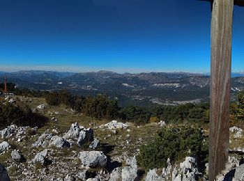 Randonnée Marche Valderoure - Sommet du Beauroux : panoramique et champignons - Photo