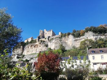 Trail Mountain bike Beynac-et-Cazenac - VTT 46km - Photo