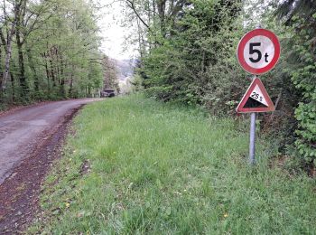 Randonnée Vélo de route Stavelot - Stavelot 2 - Photo