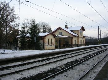 Randonnée A pied Velké Popovice - [Z] Mnichovice - Velké Popovice - Photo