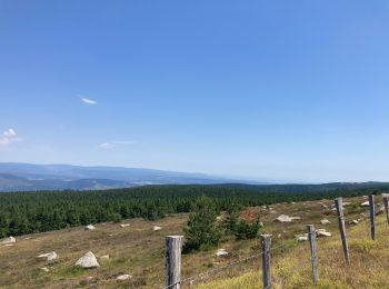 Randonnée Vélo électrique Vialas - TOUR DU MONT LOZERE - Photo