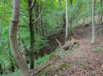 Tocht Te voet Pucking - Wanderweg Sipbachtal - Photo