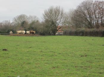 Randonnée Marche Roncherolles-sur-le-Vivier - 20191207-Roncherolles sur le Vivier  - Photo