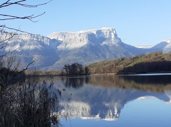 Trail Walking Les Mollettes - tour lac saint helene - Photo