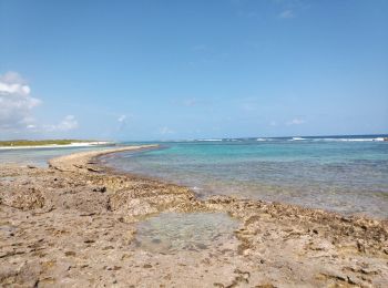 Randonnée Marche Saint-François - Pointe des Chateaux - Photo