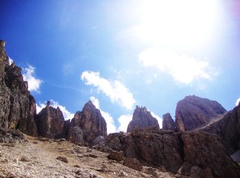 Percorso A piedi Canale d'Agordo - Via ferrata delle Farangole - Photo