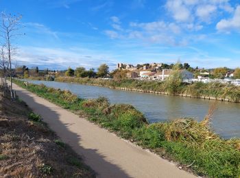 Trail Walking Roubia - Autour de Roubia  - Photo