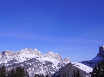 Trail On foot Santa Cristina Gherdëina - St. Christina in Gröden - Santa Cristina Valgardena - IT-28 - Photo