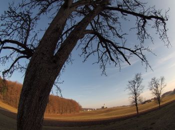 Randonnée A pied Eggelsberg - Panoramaweg - Photo