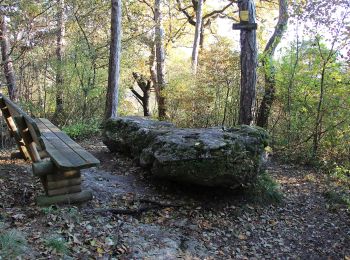 Trail On foot Gemeinde Bad Vöslau - Bad Vöslau - Vöslauer Kalkgraben - Photo