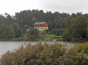 Randonnée A pied Ralsko - NS Hamry u Jezera - Photo