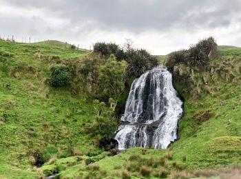 Trail On foot  - Te Araroa - 03 Waikato - k Te Kuiti to Barryville Road, Pureora Forest - Photo