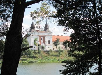 Tocht Te voet Trzemeszno - Droga św. Jakuba 