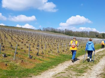 Trail Walking Château-Thierry - Château-Thierry ADR par Essômes sur Marne - Photo