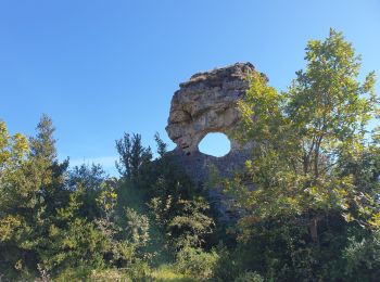 Tocht Stappen Lapanouse-de-Cernon - lapanouse in live - Photo