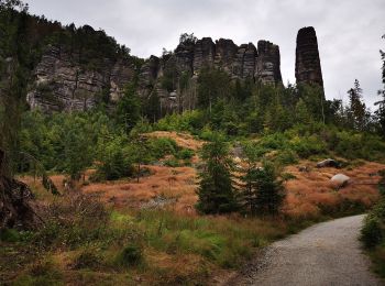 Excursión A pie Sebnitz - Grüner Punkt - Photo