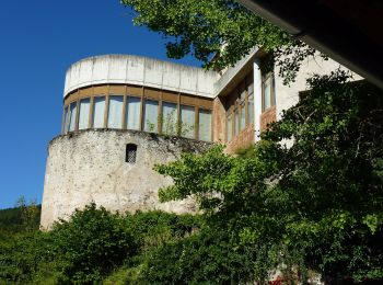 Randonnée A pied Bad Schönau - Bad Schönau - Schloß Krumbach - Photo