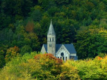 Tocht Te voet Schlangenbad - Wanderweg 30 - Photo