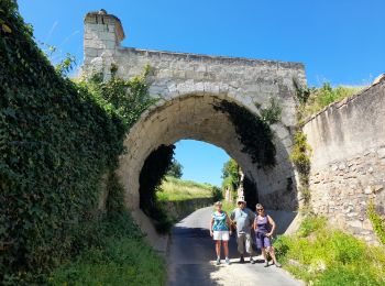 Randonnée Marche Saumur - MAINE ET LOIRE / SAUMUR: DECRASSAGE - Photo