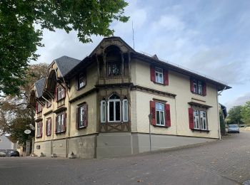 Randonnée A pied Zellertal - Zellertalweg Harxheim - Photo