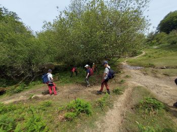 Excursión Senderismo Itxassou - Mondarrain stage  - Photo