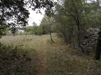 Tocht Stappen Barjols - ste madeleine  - Photo