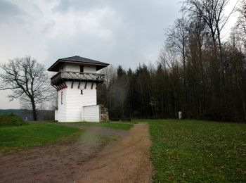 Excursión A pie Adelsheim - Rundwanderweg Wemmershof 1: Römer-Weg - Photo