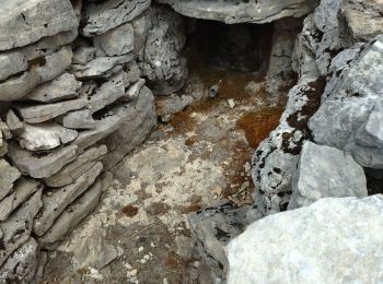 Tocht Stappen Saint-Agnan-en-Vercors - 26 tiolache - Photo