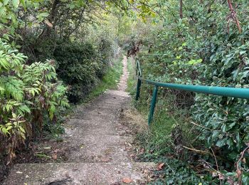 Tour Wandern Dijon - Marssanay la côte - Photo