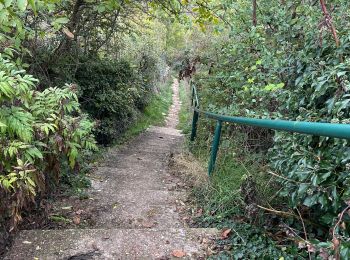 Excursión Senderismo Dijon - Marssanay la côte - Photo