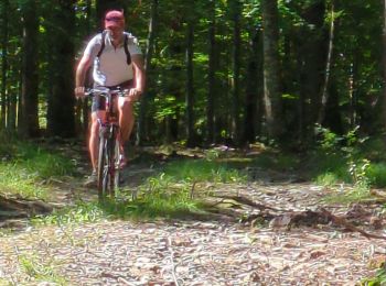 Excursión Bici de montaña Obernai - ottrott - Photo