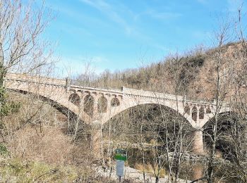 Randonnée A pied Villerest - Villerest 23.02. - Photo