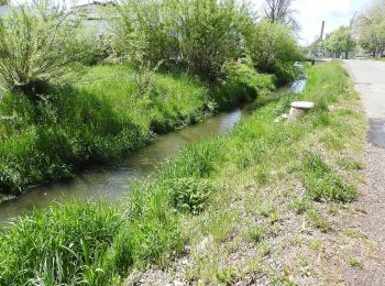 Randonnée A pied Neustadt an der Orla - Durch Wälder Fluren Dörfer des Buntsandsteingebietes - Photo