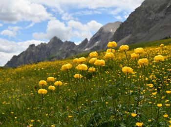 Tocht Stappen Colmars - Pk Ratery - Col des Champs - Photo