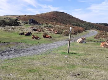 Tour Wandern Espelette - Circuit des montagnes - Photo