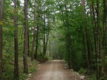 Trail Walking Corcelles-les-Monts - 2020-08-18 Corcelles-les-monts - Photo