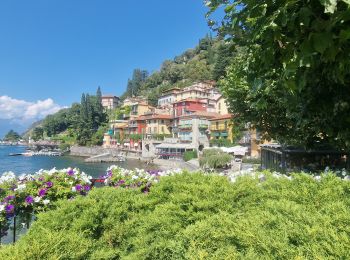 Tocht Stappen Perledo - Varenna en visite express - Photo