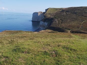 Randonnée Marche Le Tilleul - Le Tilleul - Jumel - Etretat - Photo