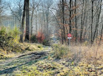 Trail Walking Compiègne - en forêt de Compiègne_47_autour des Beaux Monts - Photo