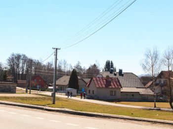 Excursión A pie Borová - [Ž] Stezka Terezy Novákové - Photo