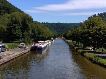Randonnée Vélo électrique Saverne - Boucle Saverne Plan incliné Vallée des éclusiers  - Photo