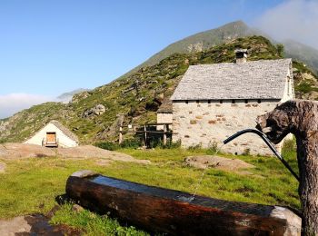 Tour Zu Fuß Trontano - P30 - Alpe in La Piana - Alpe Scaredi - Photo