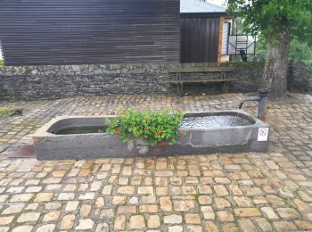 Tocht Stappen Habay - Marche ADEPS 10 Km à  Rulles. - Photo