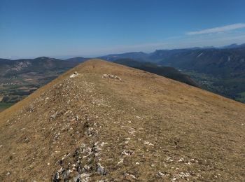 Tocht Stappen Saint-Agnan-en-Vercors - 26 but neve - Photo